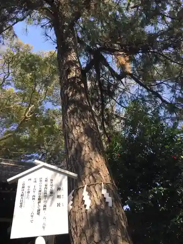 神明社の自然