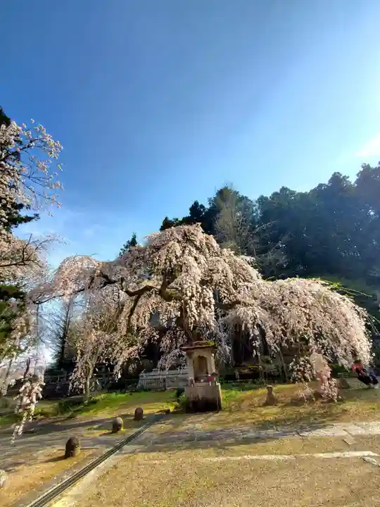 大隣寺(福島県)