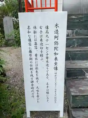 取星寺(徳島県)