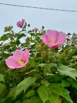 蔵林寺(京都府)