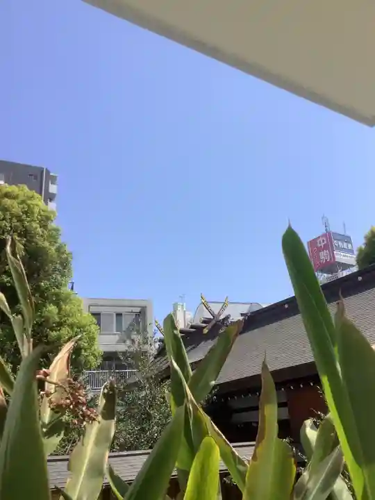 三輪神社(愛知県)