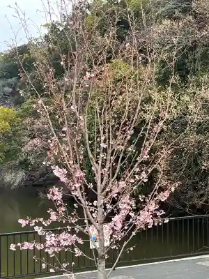 蜂田神社の{uncategorized: "未分類", other: "その他", undefined: "問題あり", building: "その他建物", grave: "お墓", sacred_gate: "鳥居", guardian: "狛犬", statue: "像", buddha: "仏像", history: "歴史", nature: "自然", garden: "庭園", animal: "動物", pagoda: "塔", temizu: "手水舎", mountain_gate: "山門・神門", sanctuary: "本殿・本堂", subordinate: "末社・摂社", art: "芸術", scenery: "景色", jizo: "地蔵", ema: "絵馬", goshuin: "御朱印", omikuji: "おみくじ", items: "授与品その他", amulet: "お守り", goshuincho: "御朱印帳", eats: "食事", festival: "お祭り", votive_dance: "神楽", shichigosan: "七五三参", wedding: "結婚式", experience: "体験その他", initially: "初詣", around: "周辺", anti_infection: "感染症対策"}