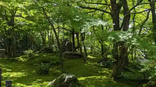 禅林寺（永観堂）(京都府)