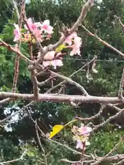 天宮神社の自然