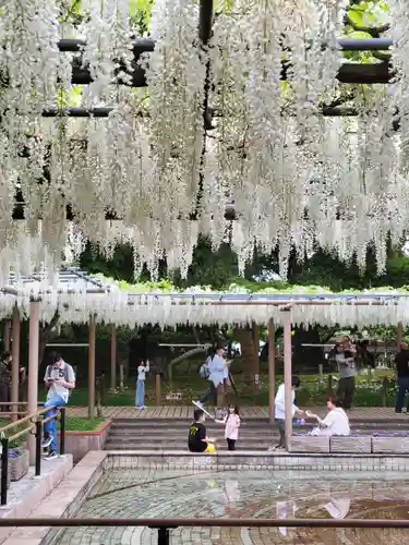曼陀羅寺の庭園