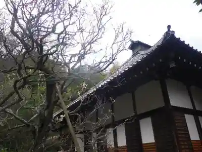 光則寺の本殿・本堂