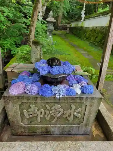 観音寺(京都府)