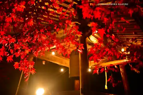 大山寺(神奈川県)