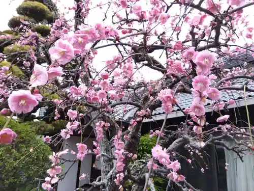 成福院(兵庫県)