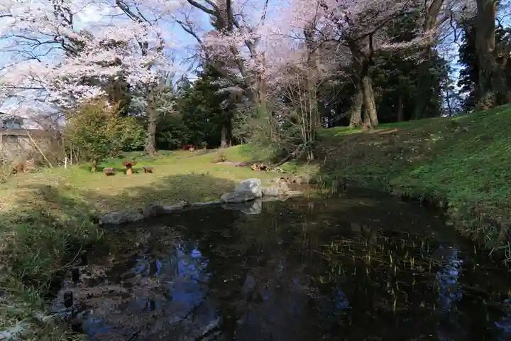 神炊館神社 ⁂奥州須賀川総鎮守⁂の自然
