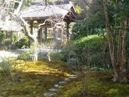 海蔵寺の庭園