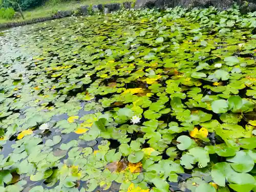 大悲閣　町屋観音堂(岐阜県)