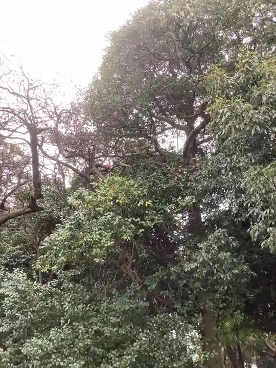 七所神社の自然