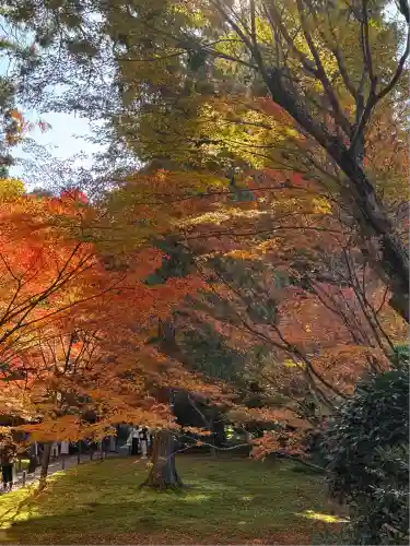 三千院門跡(京都府)
