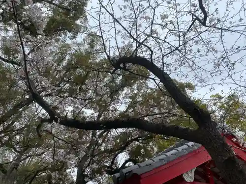 美奈宜神社(福岡県)