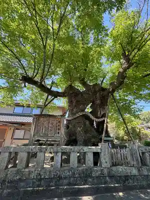 中山神社(岡山県)