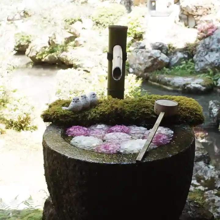 柳谷観音 楊谷寺(京都府)
