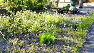 全龍寺(埼玉県)