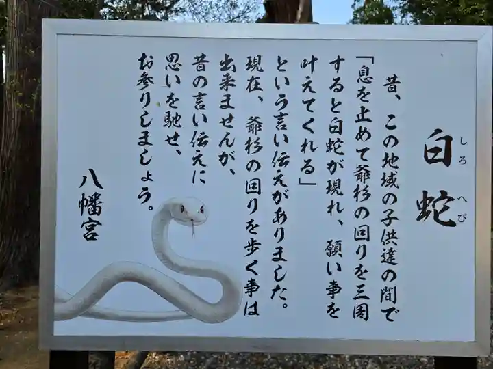 八幡宮(茨城県)