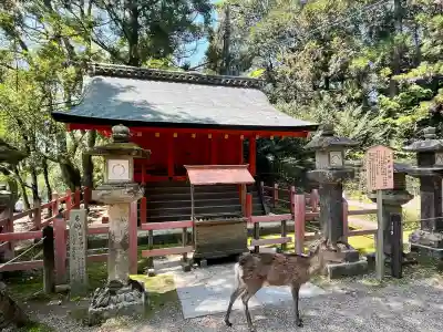 総宮神社の{uncategorized: "未分類", other: "その他", undefined: "問題あり", building: "その他建物", grave: "お墓", sacred_gate: "鳥居", guardian: "狛犬", statue: "像", buddha: "仏像", history: "歴史", nature: "自然", garden: "庭園", animal: "動物", pagoda: "塔", temizu: "手水舎", mountain_gate: "山門・神門", sanctuary: "本殿・本堂", subordinate: "末社・摂社", art: "芸術", scenery: "景色", jizo: "地蔵", ema: "絵馬", goshuin: "御朱印", omikuji: "おみくじ", items: "授与品その他", amulet: "お守り", goshuincho: "御朱印帳", eats: "食事", festival: "お祭り", votive_dance: "神楽", shichigosan: "七五三参", wedding: "結婚式", experience: "体験その他", initially: "初詣", around: "周辺", anti_infection: "感染症対策"}