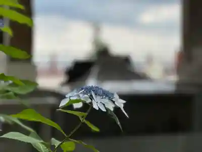 多摩川浅間神社(東京都)