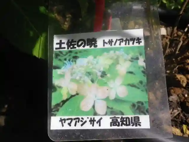 光則寺(神奈川県)