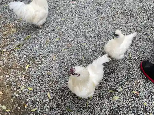高屋敷稲荷神社(福島県)