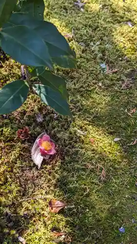 勝林寺(京都府)