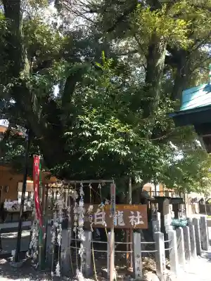 伊奴神社(愛知県)