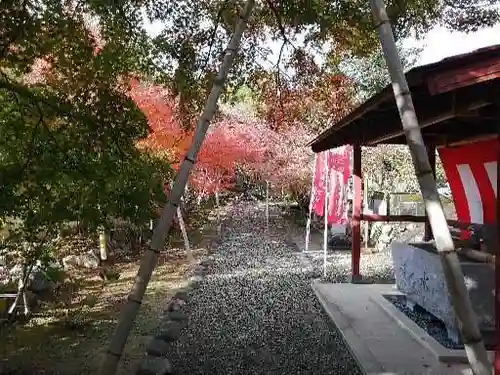 真長寺の建物その他