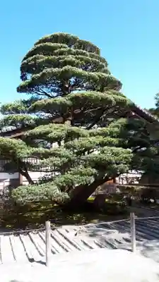 慈照寺（慈照禅寺・銀閣寺）(京都府)
