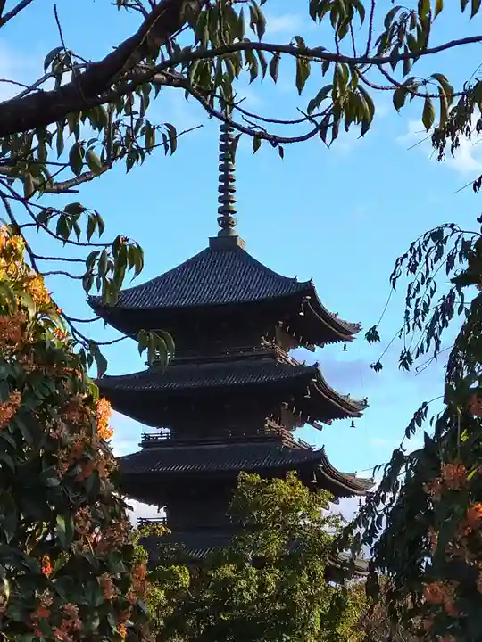 東寺(教王護国寺)の塔