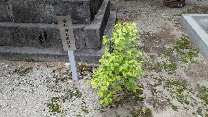 越中白山総社の自然