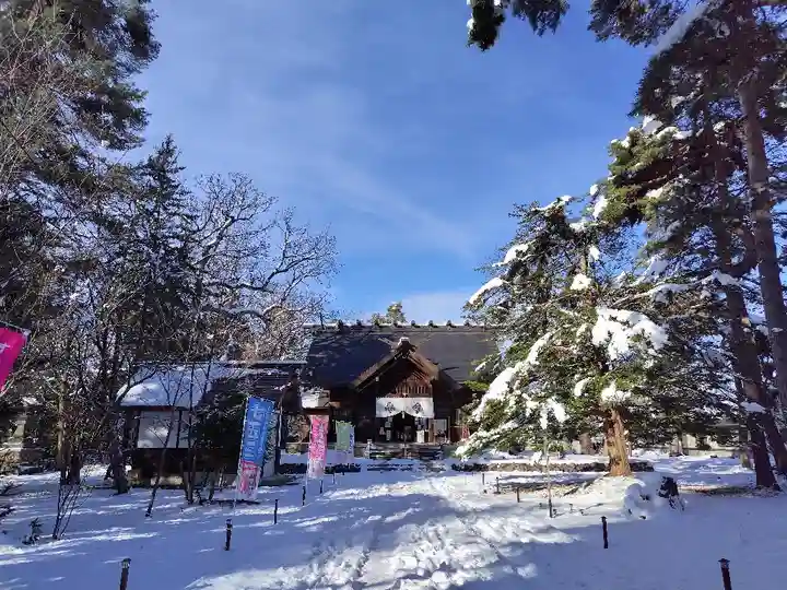 東川神社の七五三参
