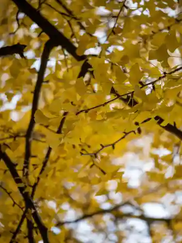 赤坂氷川神社(東京都)