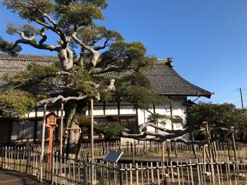 圓鏡寺の庭園