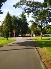 市来知神社の建物その他