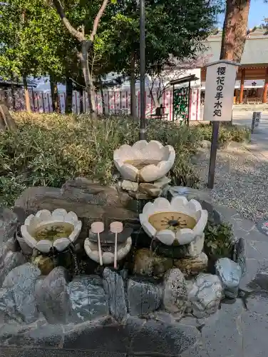 櫻木神社の{uncategorized: "未分類", other: "その他", undefined: "問題あり", building: "その他建物", grave: "お墓", sacred_gate: "鳥居", guardian: "狛犬", statue: "像", buddha: "仏像", history: "歴史", nature: "自然", garden: "庭園", animal: "動物", pagoda: "塔", temizu: "手水舎", mountain_gate: "山門・神門", sanctuary: "本殿・本堂", subordinate: "末社・摂社", art: "芸術", scenery: "景色", jizo: "地蔵", ema: "絵馬", goshuin: "御朱印", omikuji: "おみくじ", items: "授与品その他", amulet: "お守り", goshuincho: "御朱印帳", eats: "食事", festival: "お祭り", votive_dance: "神楽", shichigosan: "七五三参", wedding: "結婚式", experience: "体験その他", initially: "初詣", around: "周辺", anti_infection: "感染症対策"}