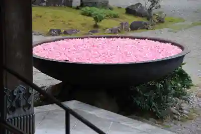 井波別院瑞泉寺のその他建物