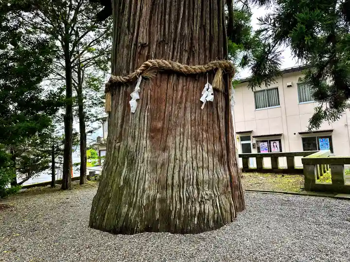 飛驒一宮水無神社(岐阜県)