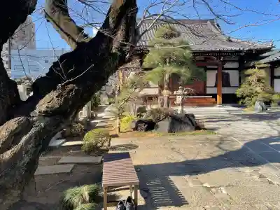 栄松院(東京都)