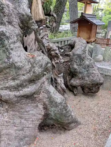 住吉大社の{uncategorized: "未分類", other: "その他", undefined: "問題あり", building: "その他建物", grave: "お墓", sacred_gate: "鳥居", guardian: "狛犬", statue: "像", buddha: "仏像", history: "歴史", nature: "自然", garden: "庭園", animal: "動物", pagoda: "塔", temizu: "手水舎", mountain_gate: "山門・神門", sanctuary: "本殿・本堂", subordinate: "末社・摂社", art: "芸術", scenery: "景色", jizo: "地蔵", ema: "絵馬", goshuin: "御朱印", omikuji: "おみくじ", items: "授与品その他", amulet: "お守り", goshuincho: "御朱印帳", eats: "食事", festival: "お祭り", votive_dance: "神楽", shichigosan: "七五三参", wedding: "結婚式", experience: "体験その他", initially: "初詣", around: "周辺", anti_infection: "感染症対策"}
