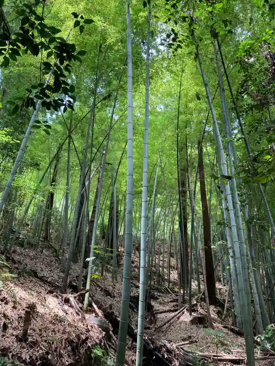 太平山神社(栃木県)
