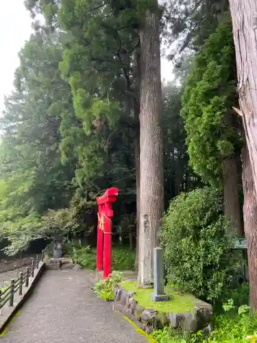 須山浅間神社の鳥居