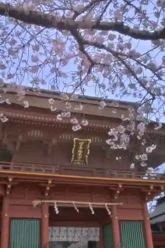 富士山本宮浅間大社の自然