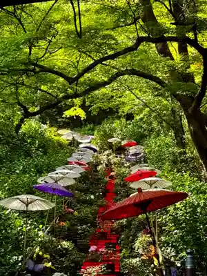 長谷寺(奈良県)