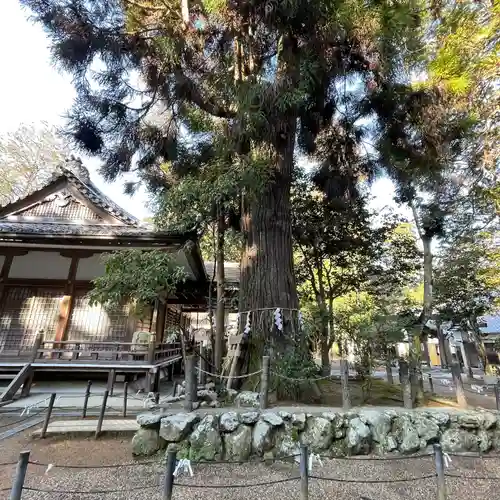 大村神社(三重県)