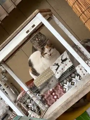 間々田八幡宮(栃木県)