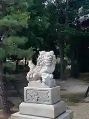 由乃伎神社の狛犬