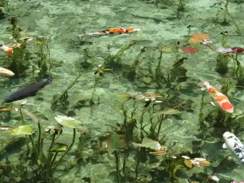 根道神社(岐阜県)